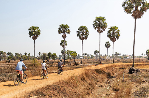 aqua-mekong-explorer-cruise-bikers-trees