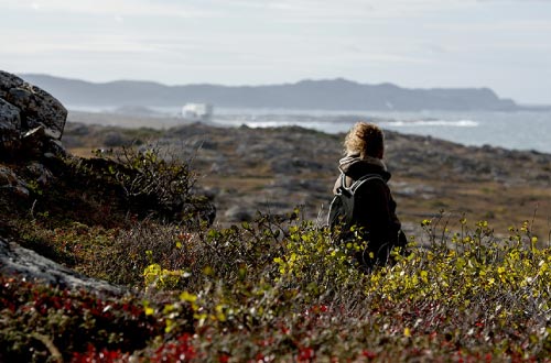 fogo-island-walking