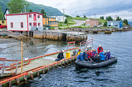 zodiac-cruisen-ewfoundland-and-labrador-canada