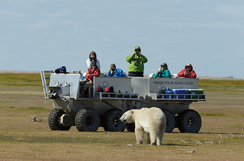 polar-bear-with-guest-atv