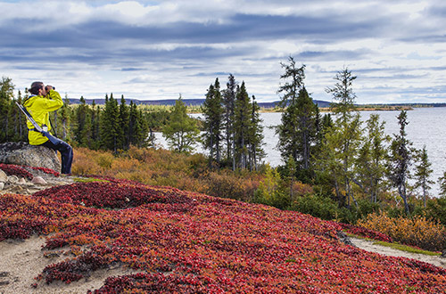 schmok-camp-canada