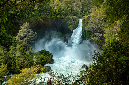 huilo-huilo-biological-reserve-los-rios-chile