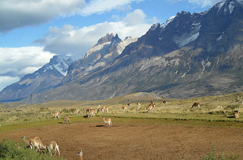 torres-del-paine-peaks-lakes-glaciers-mountain-patagonia