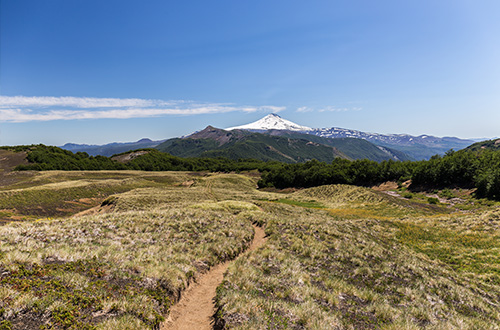 villarica-national-park-los-rios-chile