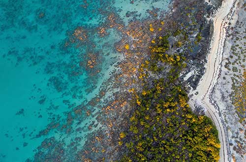 kimberley-western-australia-dampier-peninsula-cygnet-bay-pearl-farm