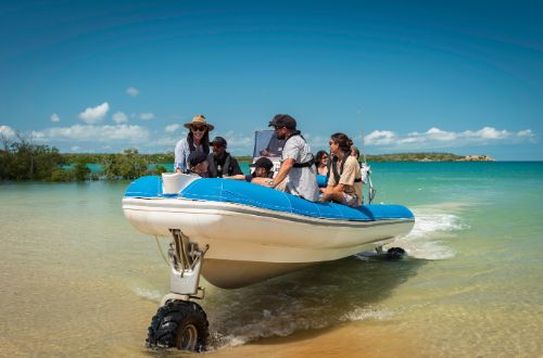 cygnet-pearl-bay-farm-western-australia-dampier-peninsula-sea-safari-tour