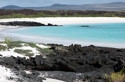 cerro-brujo-galapagos-ecuador-beach