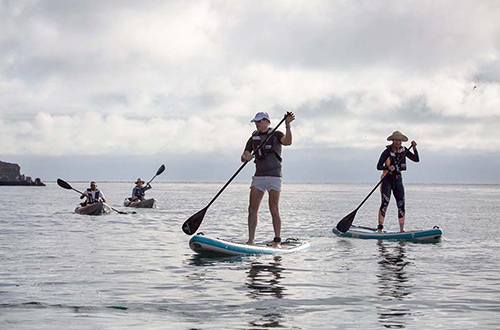 galapagos-ecuador-guests-standup-paddling