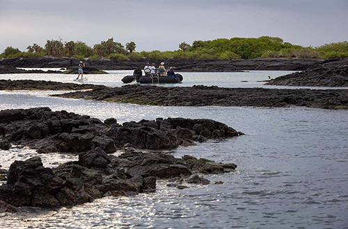 galapagos-ecuador-private-tender-coast