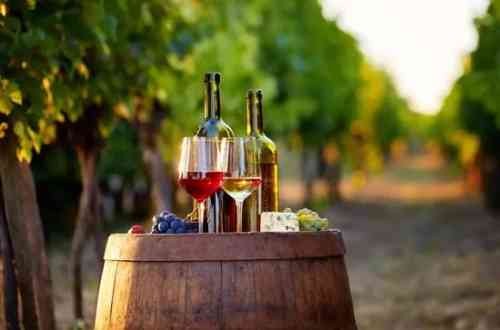 wine-tour-armenia