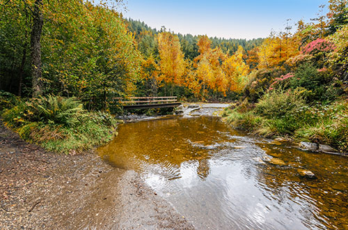 high-fens-ardennes-belgium-natural-reserve-landscape