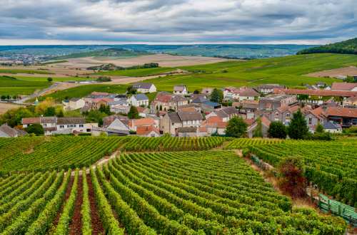 cote-des-blancs-vineyards-champagne-alsace-france