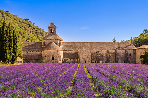 abbaye-notre-dame-de-senanque-france-lavender