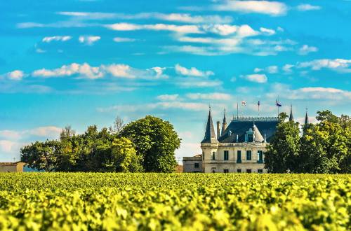 margaux-region-chateaux-vineyard-france