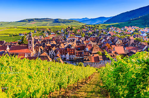 riquewihr-france-vineyards