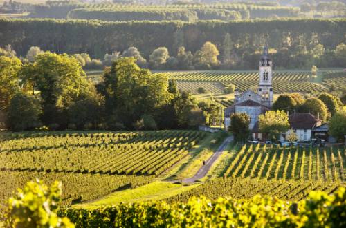 sauternes-region-france-bordeaux-vineyards-chateaux