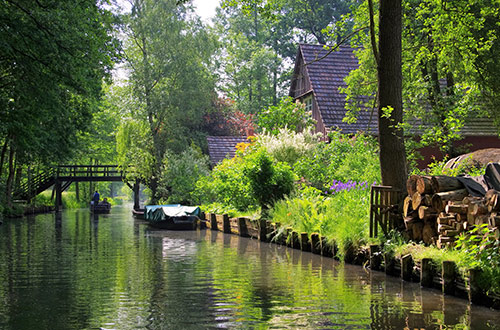 spree-forest-brandenburg-germany