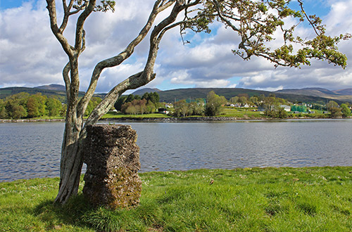 reenagross-woodland-park-kenmare-county-kerry-ireland