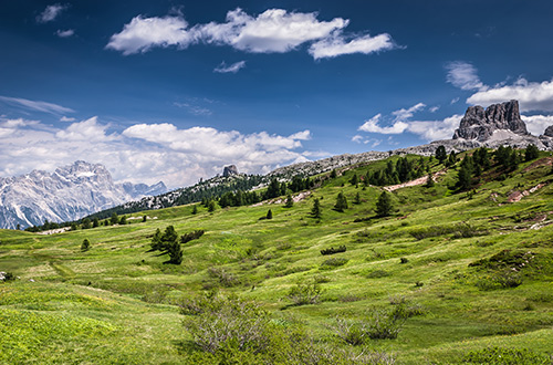 grass-field-dolomites-italy