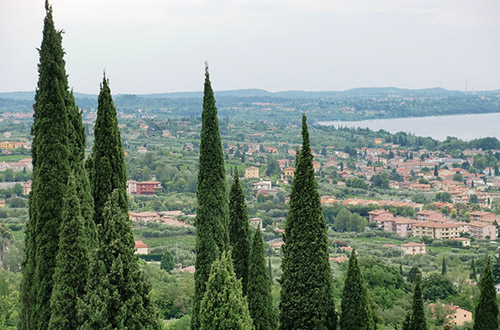 lake-garda-trees-italy