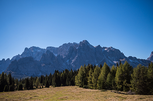 nemes-alm-alpine-villabassa-italy