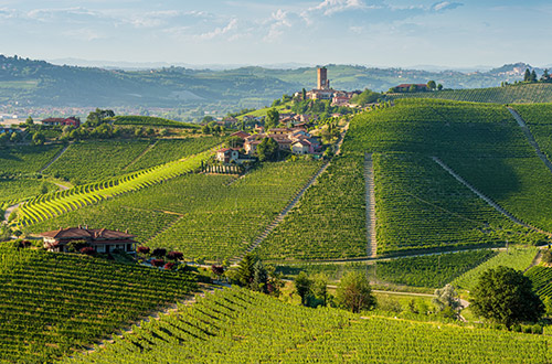 barbaresco-village-the-langhe-cuneo-piedmont-italy-house