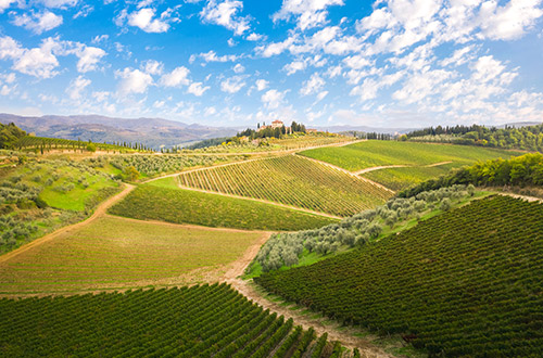 castellina-in-chianti