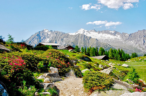 brenta-dolomites-trentino