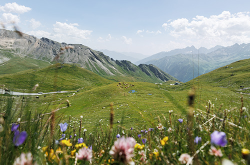 forcella-lerosa-belluno-italy