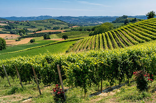 govone-roero-piedmont-italy