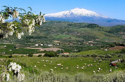 mount-etna-italy