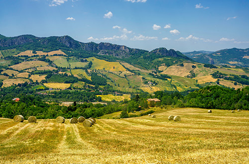 verucchio-emilia-romagna-italy-farmland