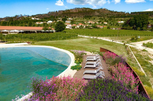 Lavandeira-Douro-Nature-Wellness