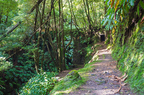 janela-do-inferno-portugal-moss-tunnel