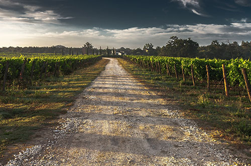 camino-de-santiago-deluxe-walk-spain-road