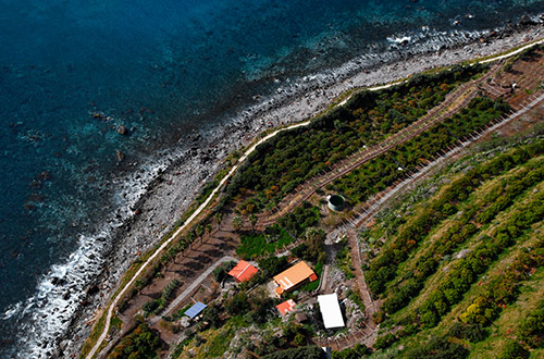 gardens-of-faja-dos-padres-madeira-portugal-aerial