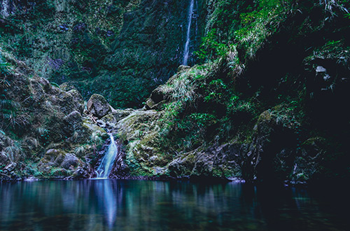 levada-caldeirao-verde-madeira-portugal