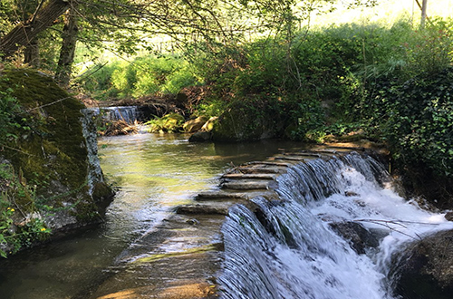 quinta-de-covelo-spring