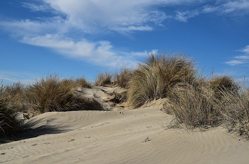 spain-dune