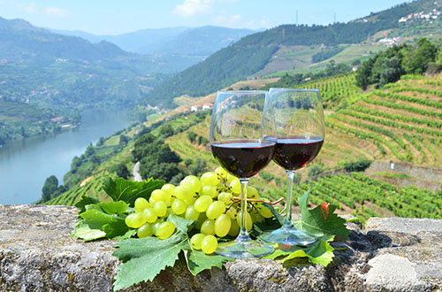 wine-tasting-douro-valley