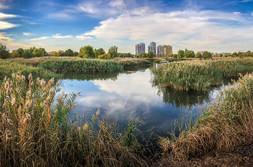 natural-park-vacaresti-bucharest-romania