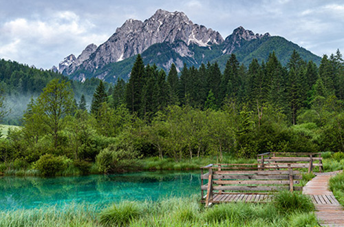 sunrise-scene-zelenci-nature-reserve-ratece-slovenia-shutterstock2475133467