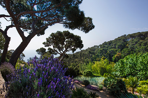 cap-roig-botanical-garden-calella-de-palafrugell-girona-spain