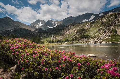 llac-de-la-bollosa-pyrenees-cerdagne-spain