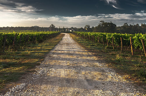 road-to-santiago-spain-view