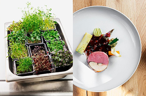 maiensass-hotel-guarda-val-switzerland-food