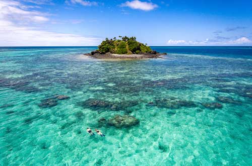 Snorkeling-excursion-turtle-island