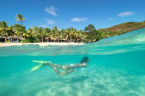 kokomo-private-island-snorkel-underwater