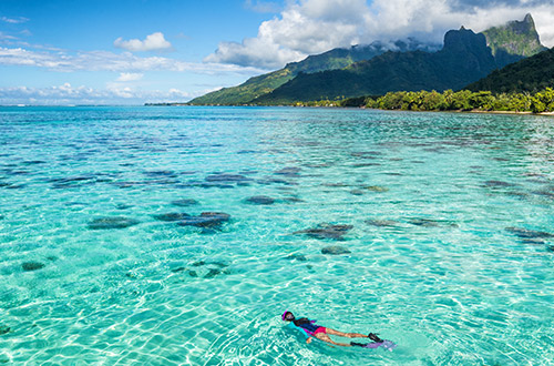 moorea-snorkeling