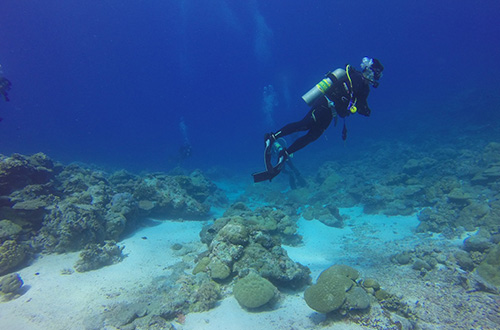 coral-geographer-diving